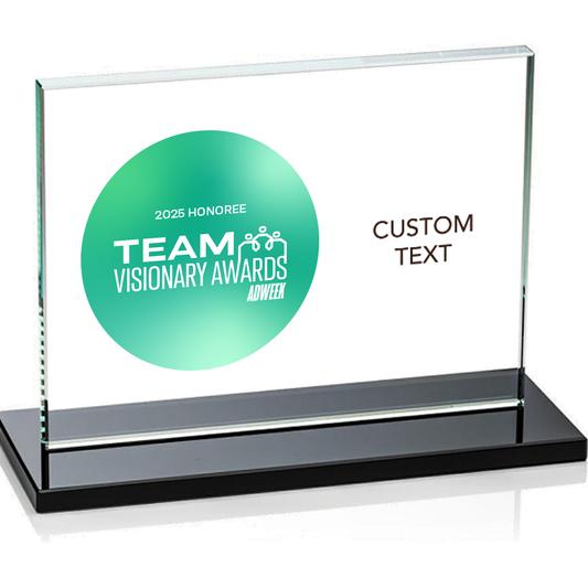 Team Visionary Awards Horizon Award