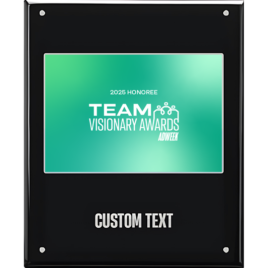 Team Visionary Awards Modernizer Award
